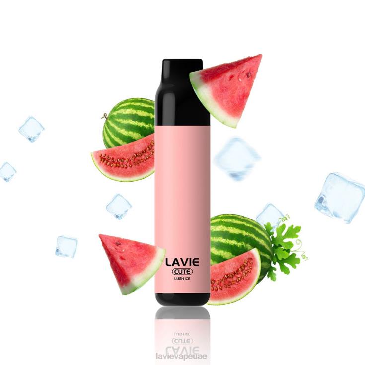 الجليد الخصب LAVIE BAR 3000 نفث 2P26V285 | Lavie Uae