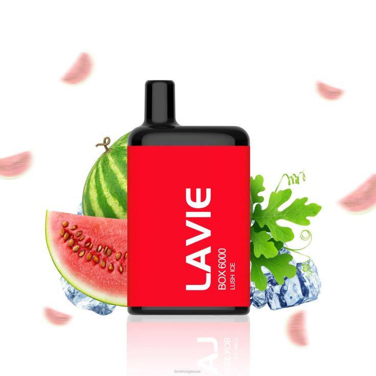 الجليد الخصب LAVIE BOX 6000 نفث 2P26V199 | Lavie Vape Abu Dhabi